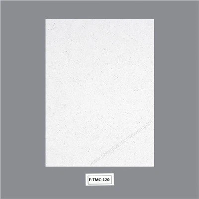 CaCO3 coated fiberglass mat wall board